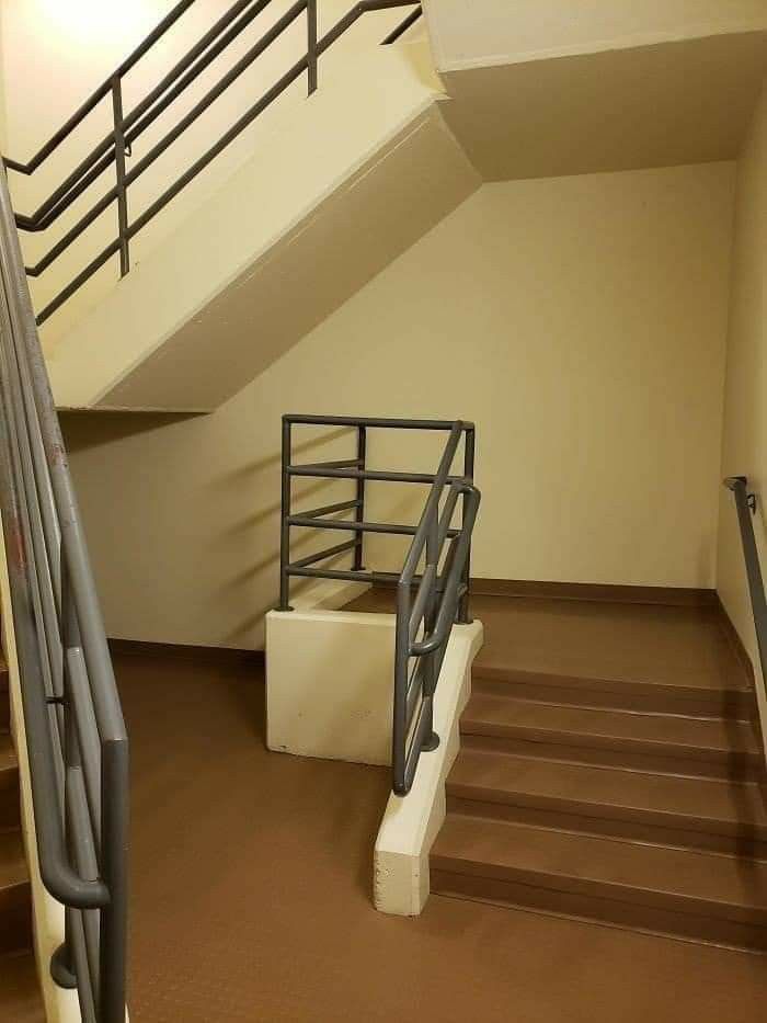 Describe this image